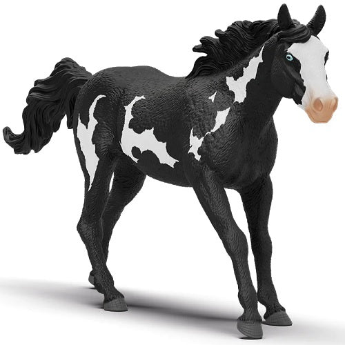 Paint horse