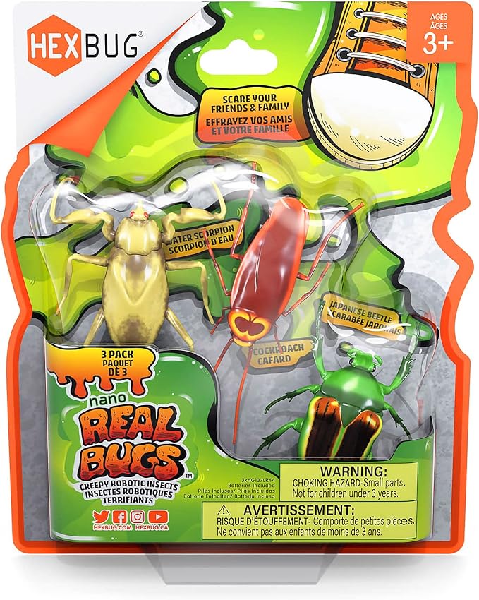 Real bugs