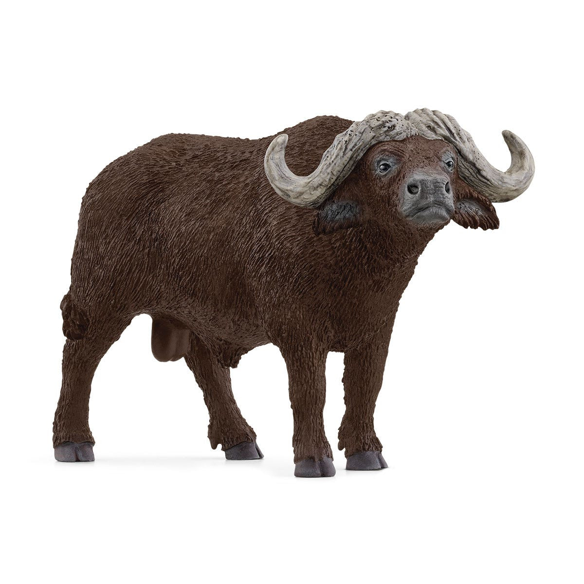 Kafferbuffalo