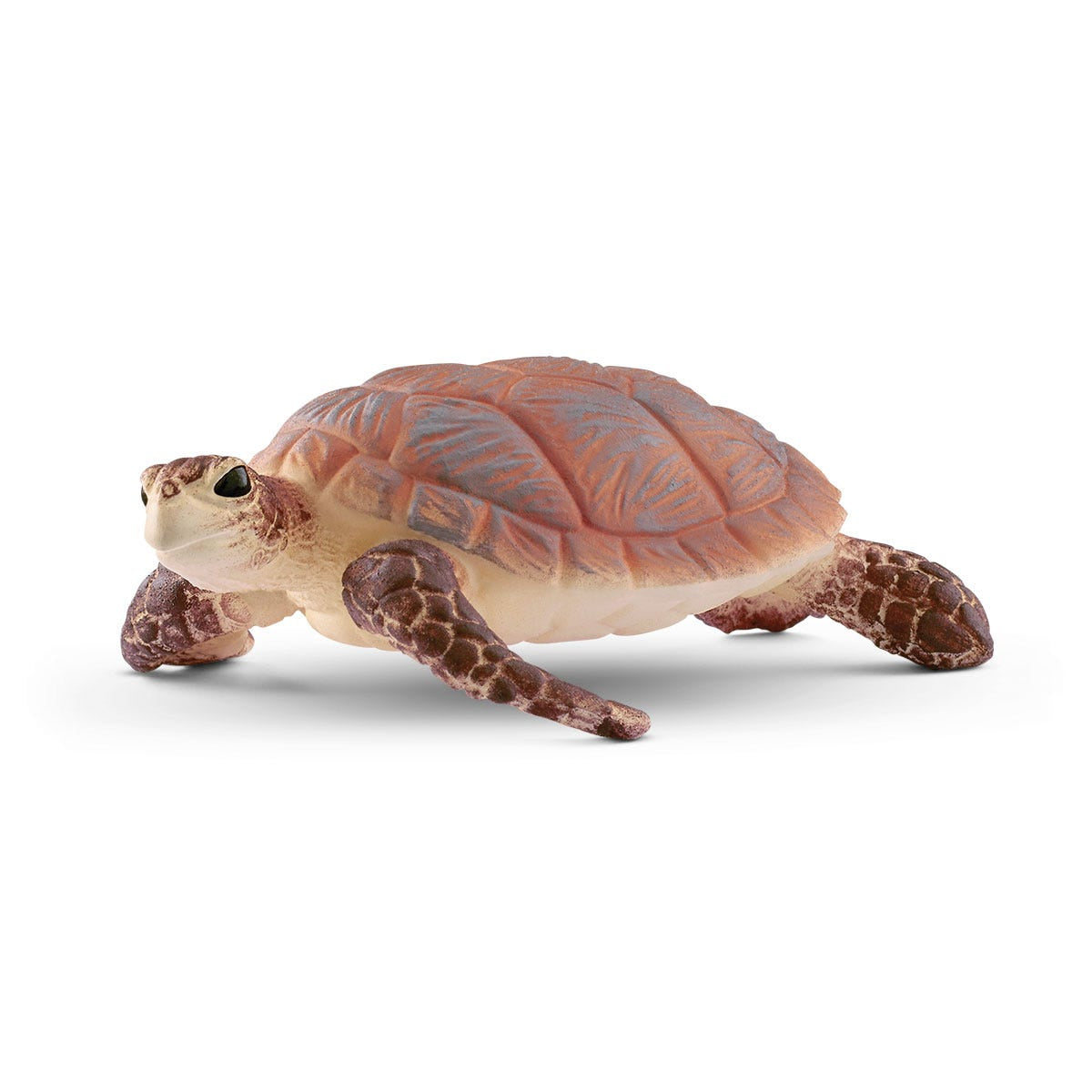 Schildpad