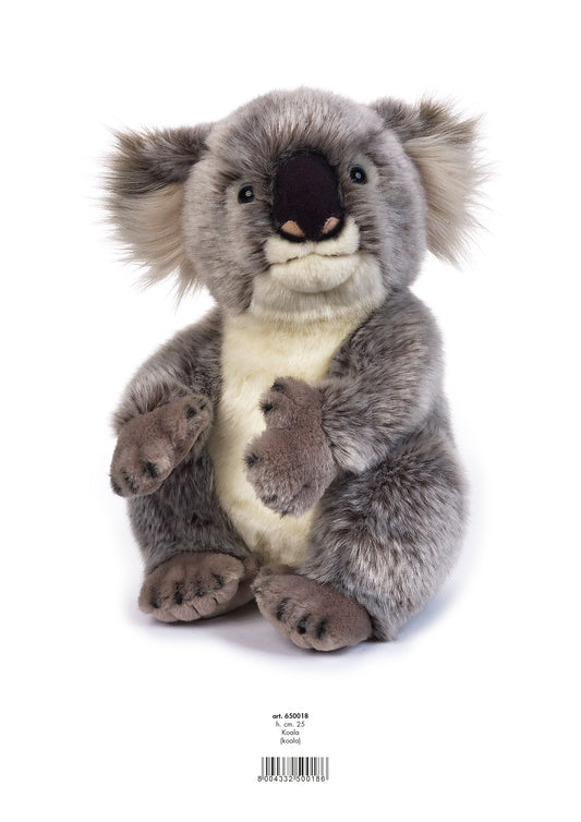Koala