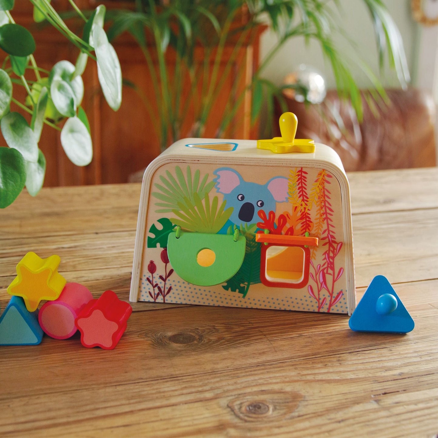 Baby couleur Multi Boita