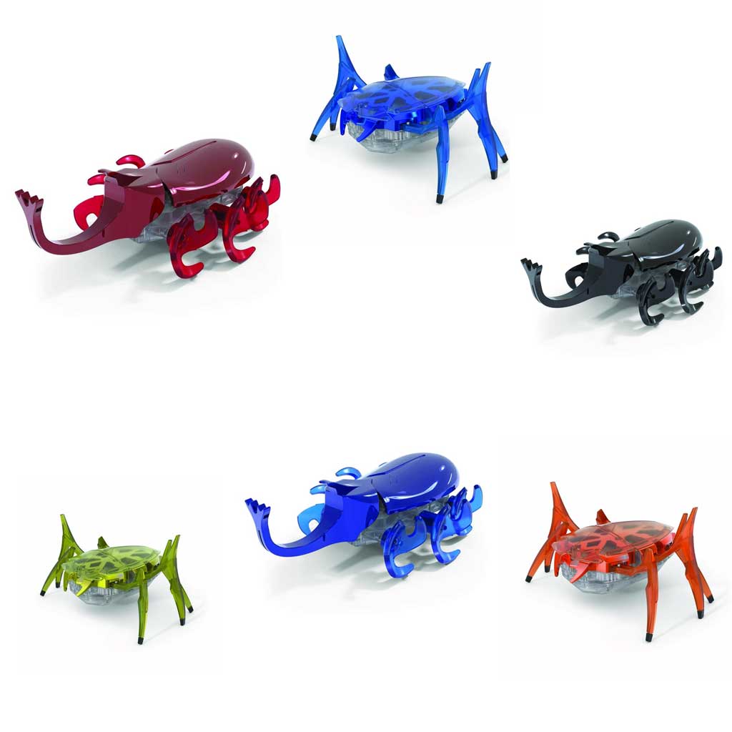 Rhino beetle