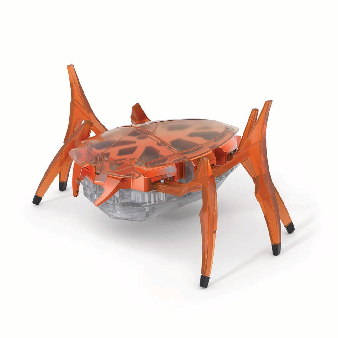 Rhino beetle