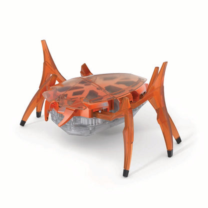 Rhino beetle