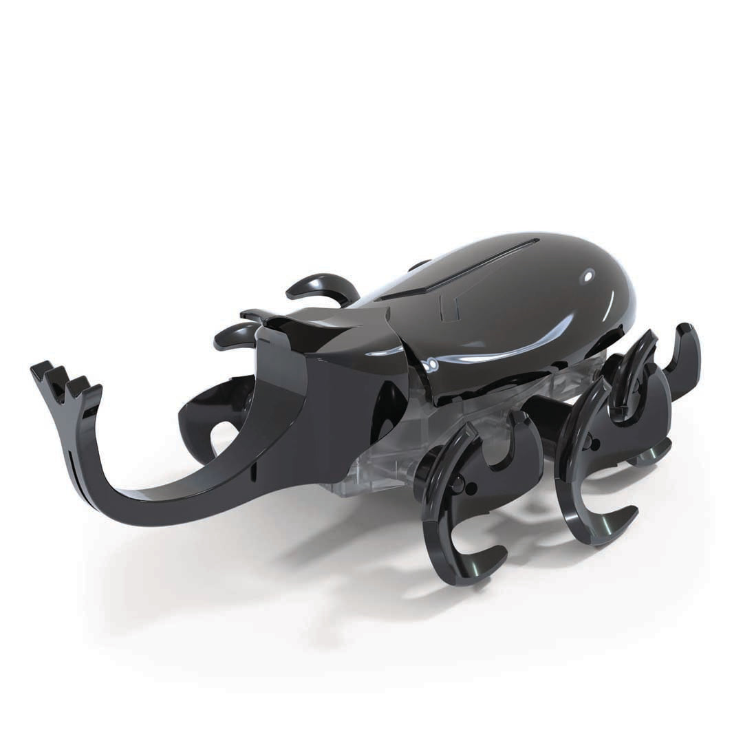 Rhino beetle