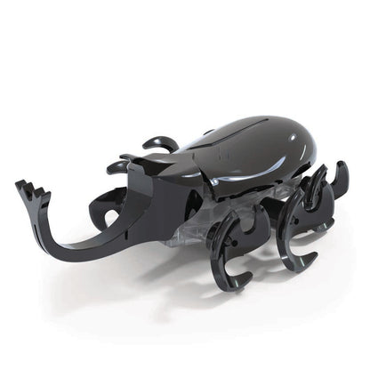Rhino beetle