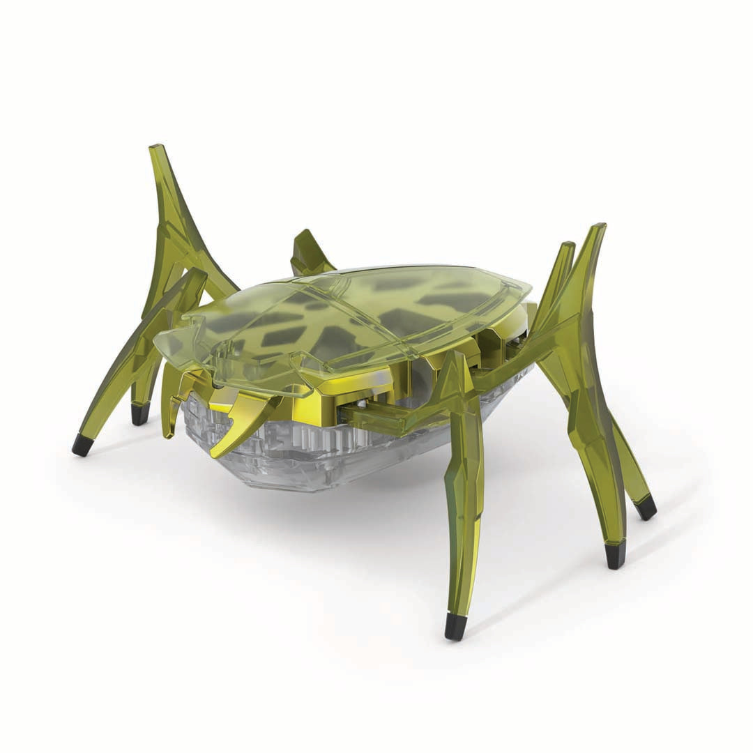 Rhino beetle
