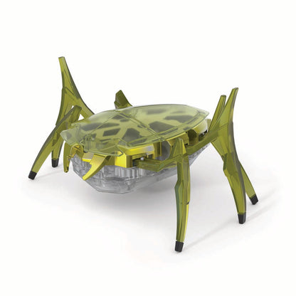 Rhino beetle