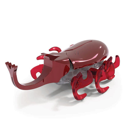 Rhino beetle