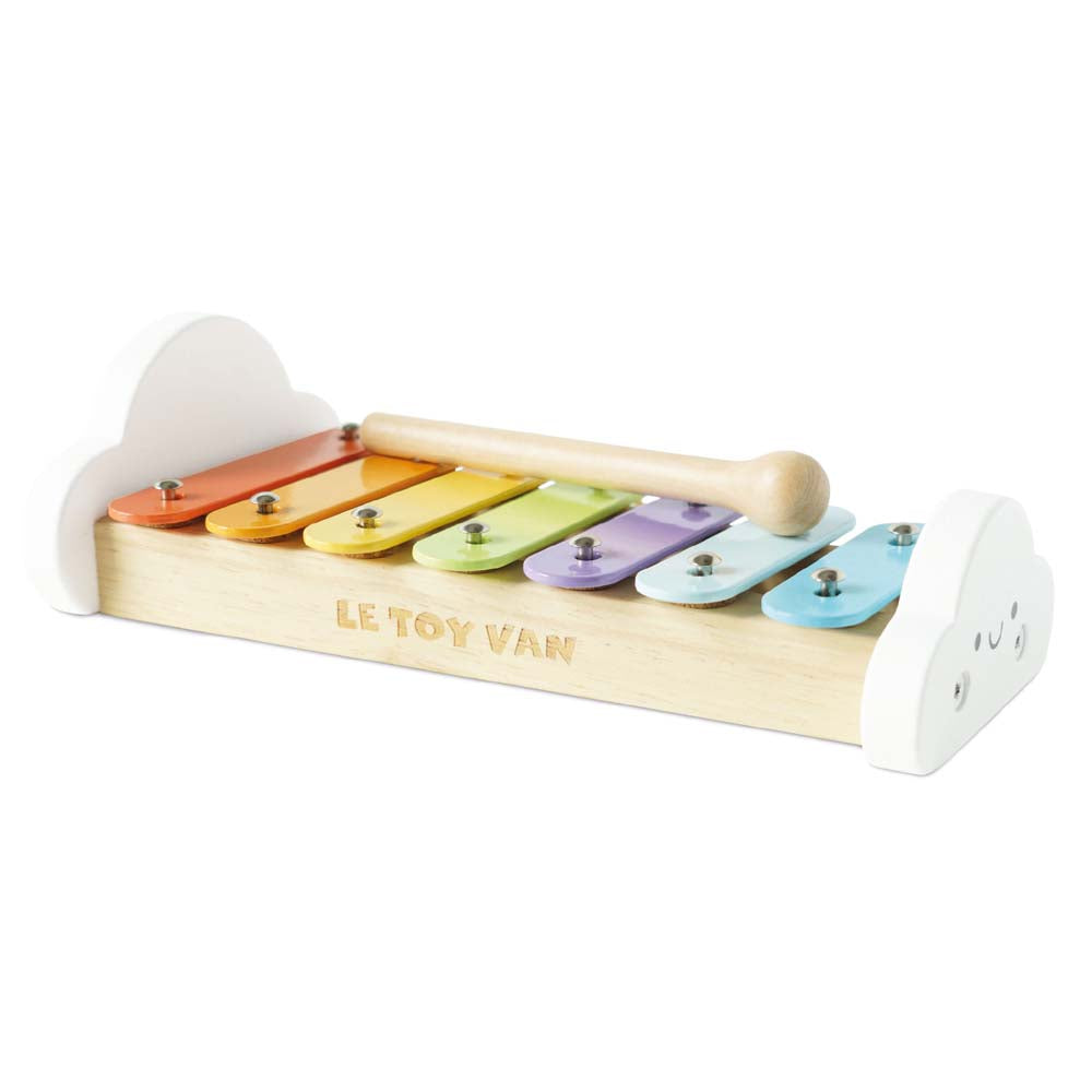 Xylophone With Metal Notes