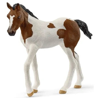 Klein paard