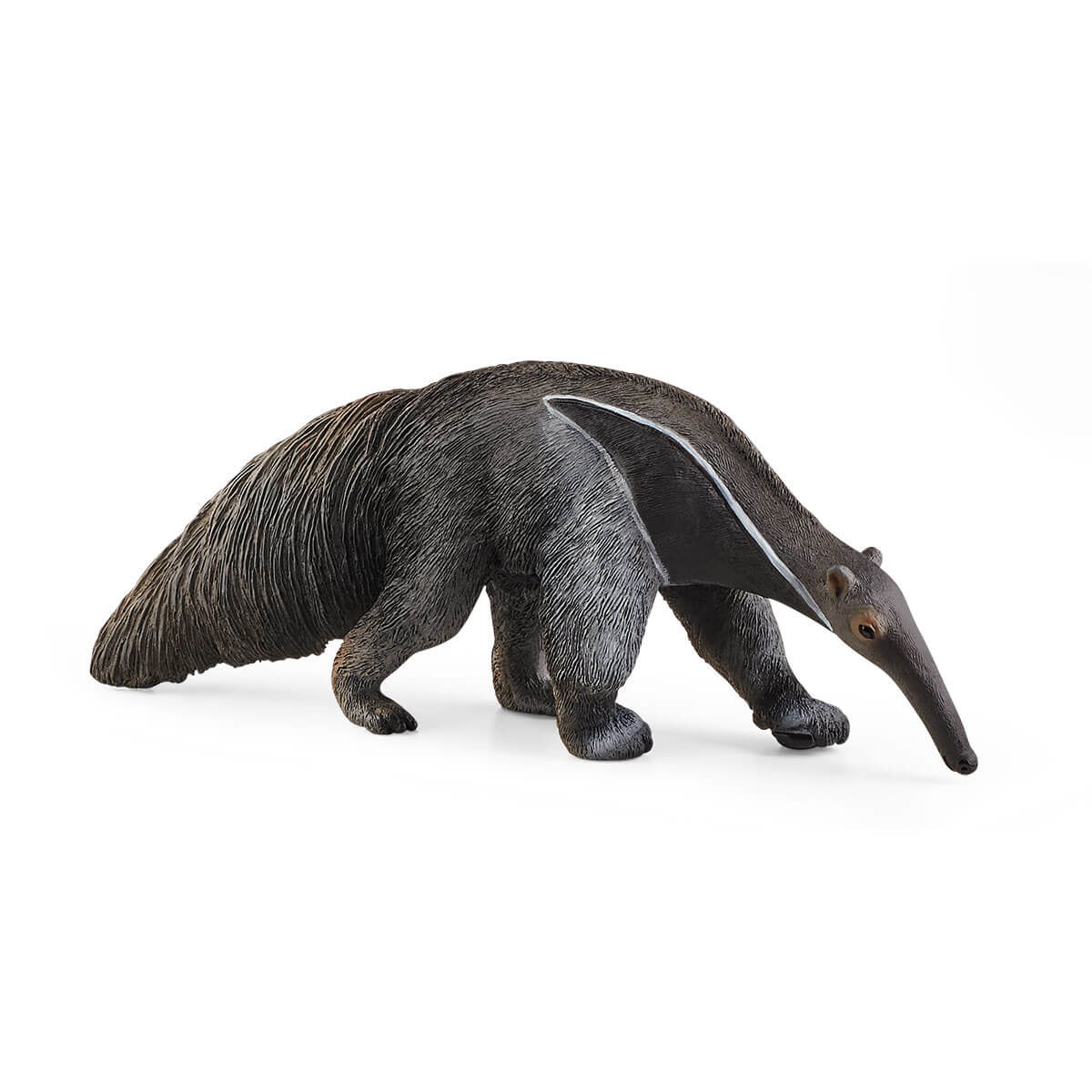 Tapir