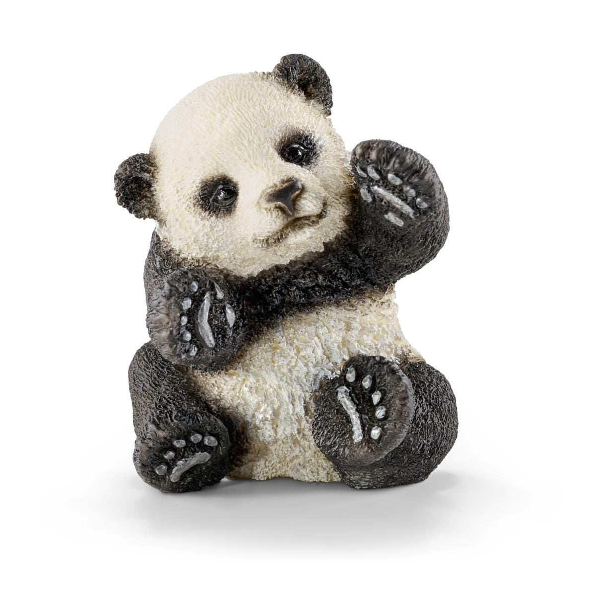 Baby panda