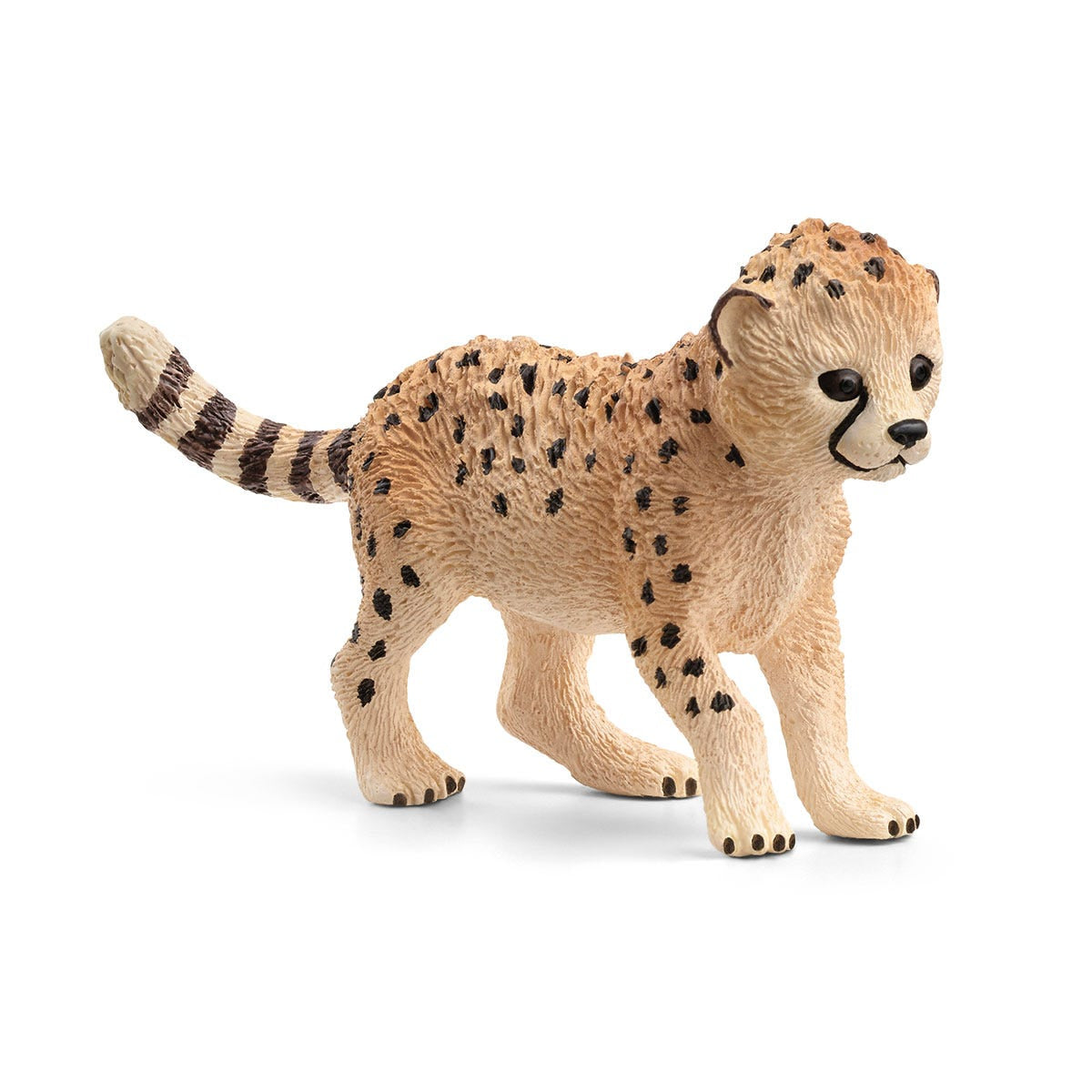 Cheeta