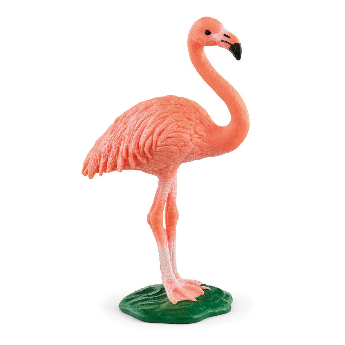 Flamingo s