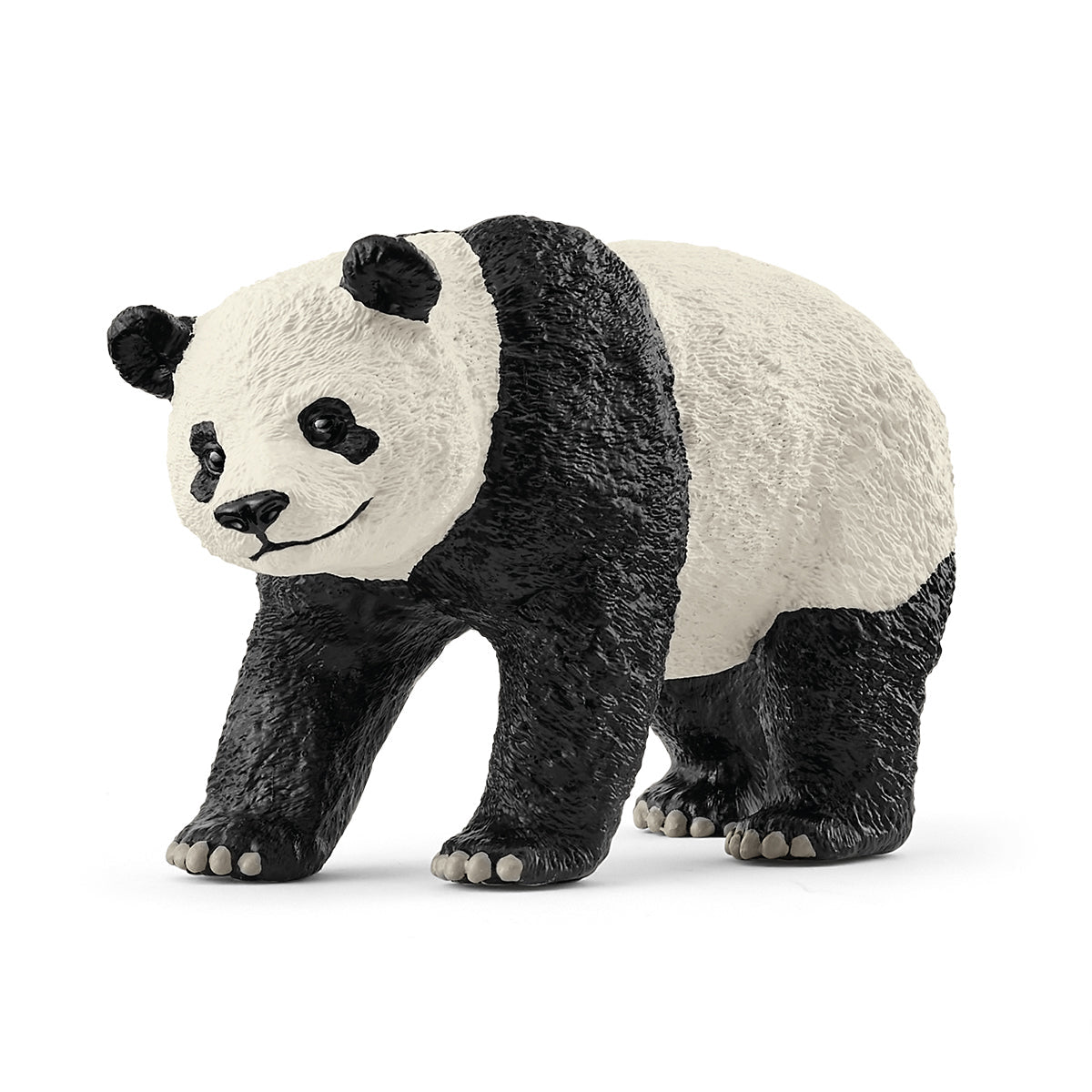 Giant panda