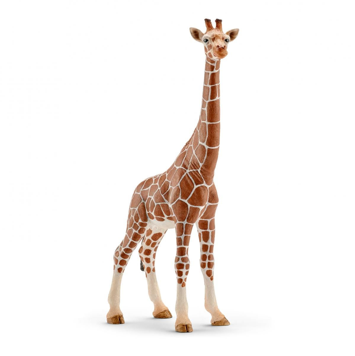 Giraffe wijffie