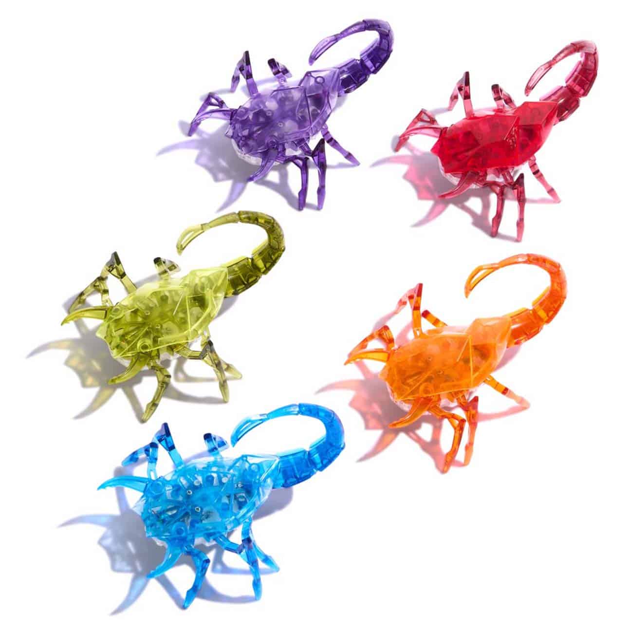 Scorpion